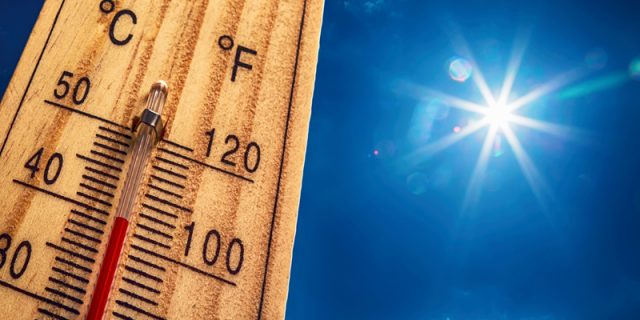 Canicule en France : quelles sont les conséquences économiques ?