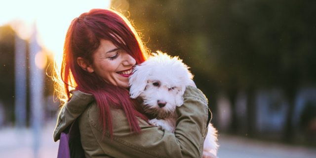 Une chienne reconnaît sa maîtresse 5 ans après avoir disparu
