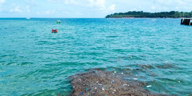 INTERVIEW Un 7e continent sur la planète : de quoi s’agit-il ?