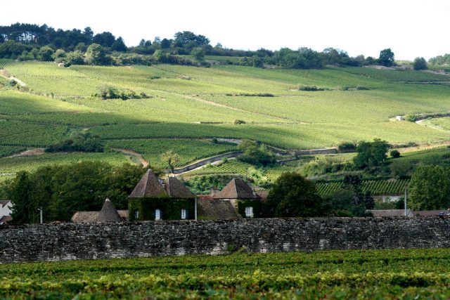La route des vins de Bourgogne à travers cinq itinéraires