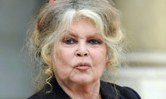 Brigitte Bardot raccroche au nez de Nicolas Hulot