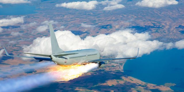 Mouettes et maïs : ces dangereux éléments qui ont terrorisé les passagers de ce vol de l’effroi