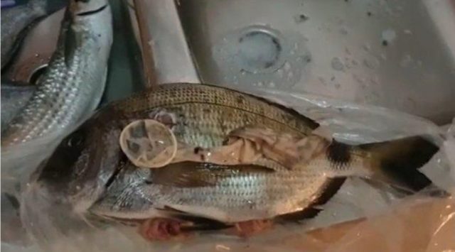 Il trouve un préservatif dans le poisson qu’il cuisinait