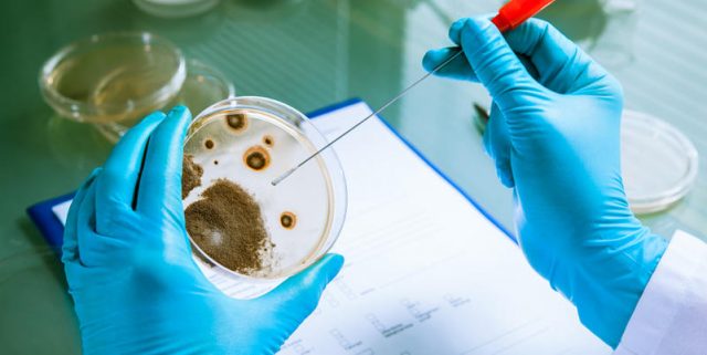 Explosion dans un laboratoire russe : doit-on craindre une contamination à la variole ?