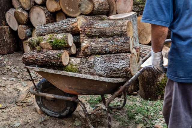 Bois de chauffage : gare à cette arnaque