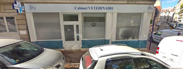 Les vétérinaires sont-ils ouverts pendant le confinement ?