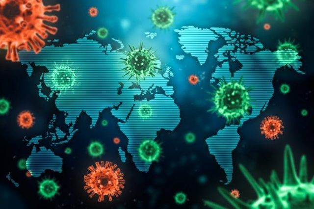 Quel est le profil type des personnes décédées du Covid-19 ?