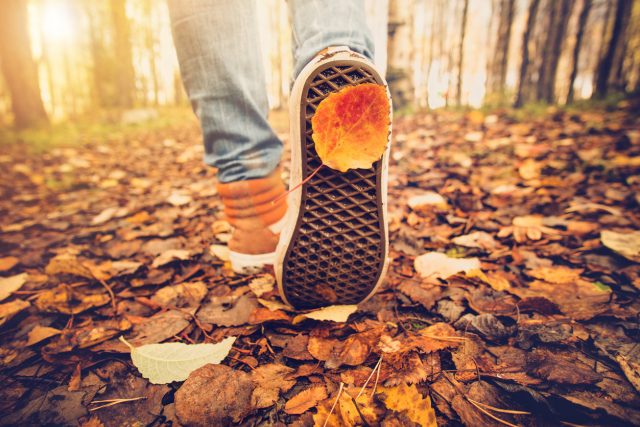 Météo : quelles sont les prévisions pour cet automne ?