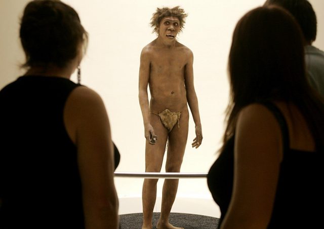 Covid-19 : un fragment ADN hérité de l’homme de Néandertal à l’origine des formes graves ?