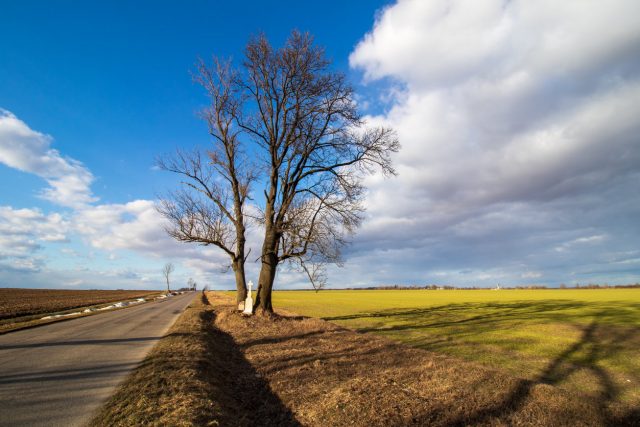 Calvados : une tombe située le long d’une route intrigue les habitants