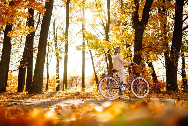 Météo d’automne : quelles sont les prévisions jusqu’au mois de novembre ?